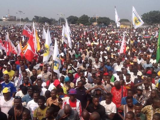 995576_337782433042010_4203446616485371420_n